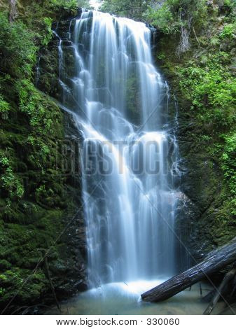 Berry Creek Falls