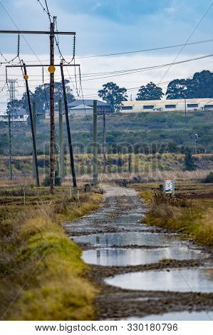 Early On The Track Through The Hexham Wetlands