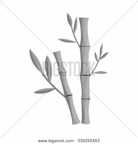 Isolated Object Of Bamboo And Tree Sign. Set Of Bamboo And Green Stock Vector Illustration.