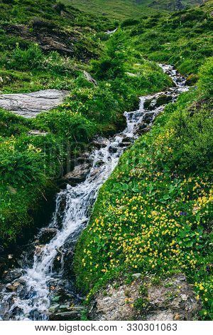 Small Mountain Water Stream