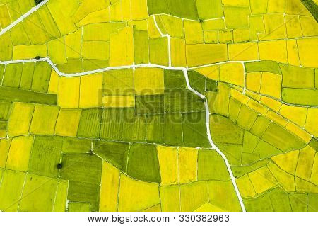 Aerial View Of Beautiful Rice Fields In Taitung . Taiwan.