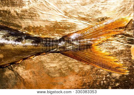 Cold Smoked Mackerel. Image & Photo (Free Trial) Bigstock