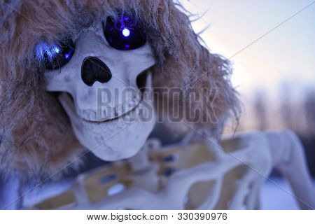 A Close Up Image Of A Grinning Skeleton Wearing A Furry Hat.