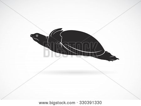 Vector Of Soft-shelled Turtle (trionychidae) On White Background. Wild Animals. Turtles Logo Or Icon