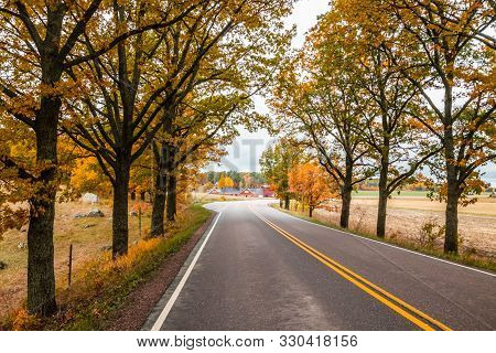 View Of Road With Oak Trees Alley At Autumn