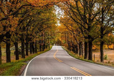 View Of Road With Oak Trees Alley At Autumn