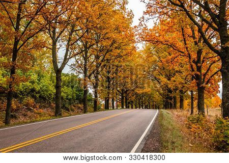 View Of Road With Oak Trees Alley At Autumn