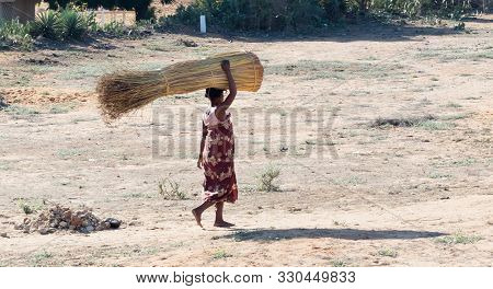 Unrecognisable Woman Walking With A Bundle Of Reed, Madagascar