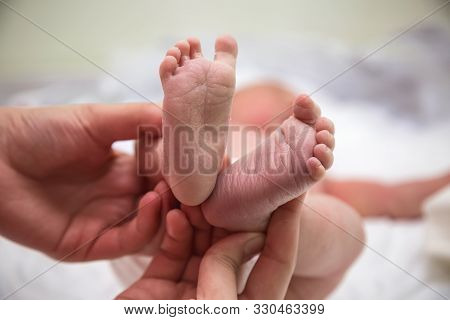 Feet Of Newborn, Small And Delicate. The Mother And Child.