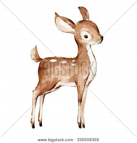 Cute Watercolor Drawing Of The Baby Deer Over White. Foreat Anomals Baby Deer Full Profile Illustrat