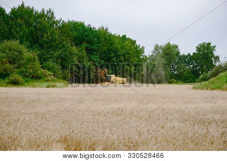 Combine Harvesting Wheat. Sumemr Time. Agriculture Background With Copy Space.