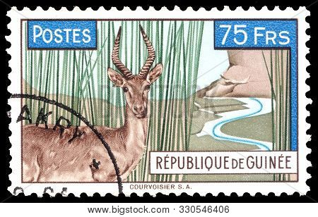 Guinea - Circa 1961: Postage Stamp Issued In Guinea With The Image Of The Impala Antelope Defassa Wa