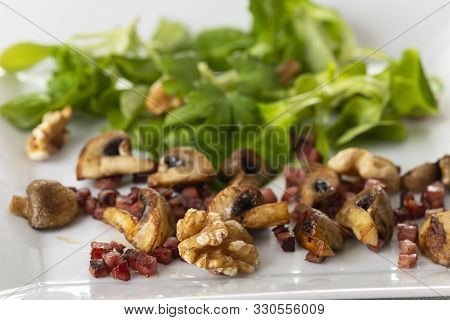 Lamb's Lettuce