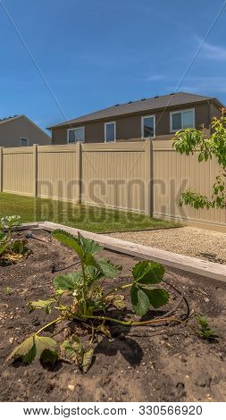 Vertical Raised Garden Beds With Plants And Soil At The Backyard With Gravel And Grasses