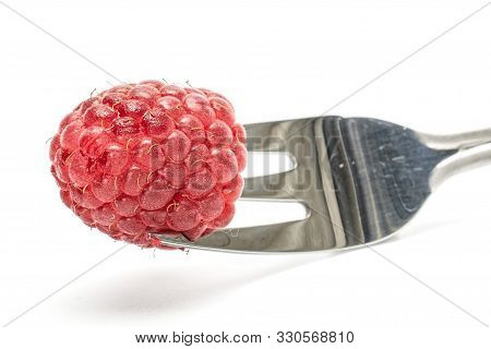 Group Of Four Whole Fresh Crimson Raspberry With Steel Fork Isolated On White Background