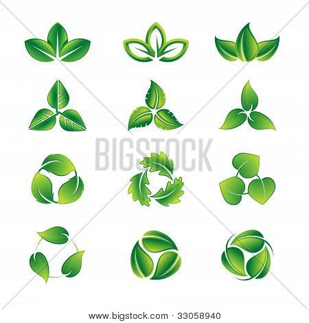 Zelené listy vektorový sada ikon