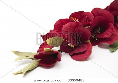 Fiore fresco gladioli rossi
