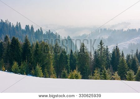 Forest On The Snow Covered Slope. Beautiful Mountain Landscape In Winter. Misty Morning. Distant Hil