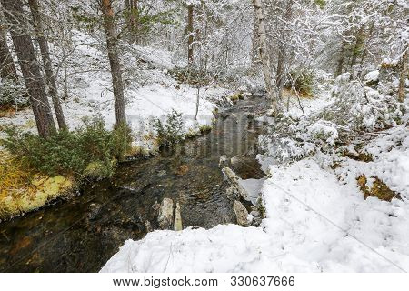 First Snowfall, Stream In The Forest With Trees Covered With Snow
