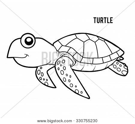 Coloring Book For Children, Cartoon Animal - Turtle