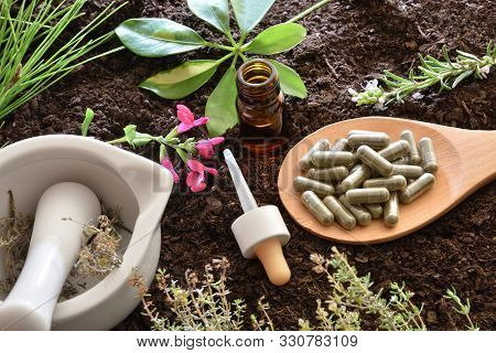 Preparation Of Natural Plant Medicine With Mortar, Wooden Spoon With Capsules, Dropper Bottle And Pl