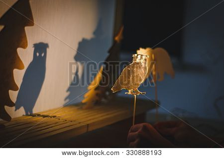 Teacher Do A Shadow Play Owl In Kindergarten Or Preschool. Child Play Concept Shadow Pantomime Shado