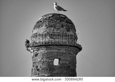 St. Augustine, Florida. January 26 , 2019. Panoramic View Of Castillo De San Marcos On Lightblue Bac