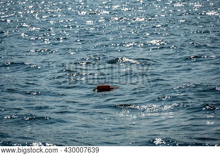 Lobster Trap Buoy Floating On A Choppy Ocean In The Atlantic Ocean