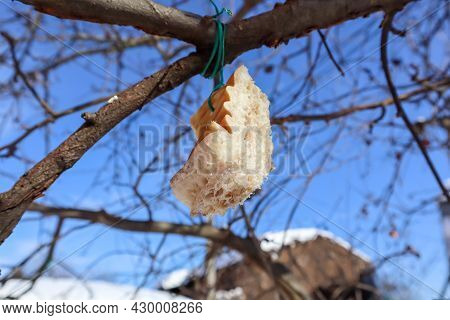 Fat For Feeding Birds In Winter Hanging On A Blue Sky Background.