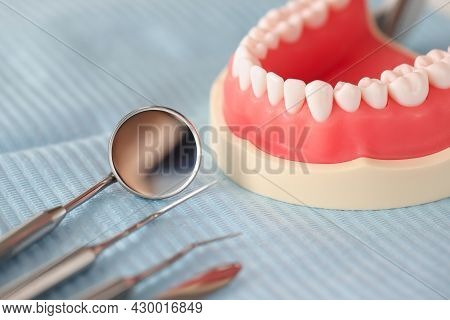 Dental Artificial Jaw And Dental Instrument On Table Closeup