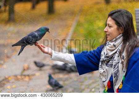 The Person Is Holding A Dove On The Hand. Feeds Pigeons In The Park. Tame A Pigeon.