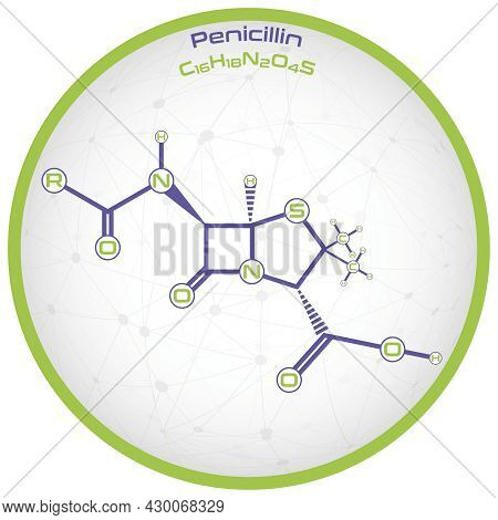 Large And Detailed Infographic Of The Molecule Of Penicillin