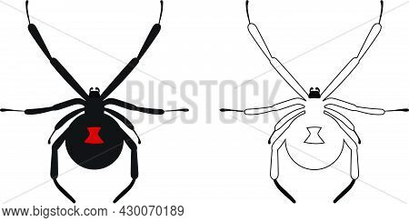 Black Widow Poisonous Spider Vector Illustration. Halloween Clipart.