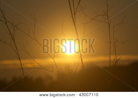 Tramonto parco appia antica