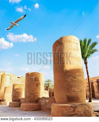 Seagull Over Tahrak Kiosk In Karnak Temple, Luxor
