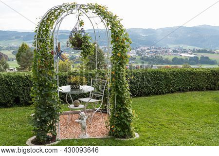 Cozy Garden With Flowers Black-eyed Susanne On The Rose Arch