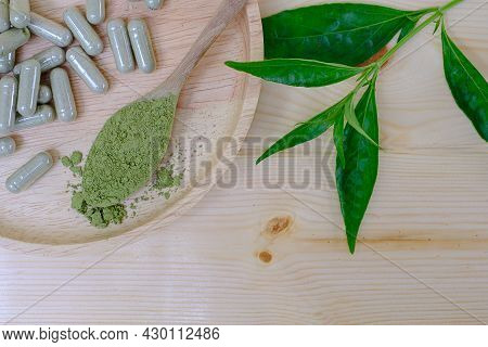 Kariyat Or Andrographis Paniculata Powder In Wooden Spoon With Herbal Capsules And Banch Green Leave