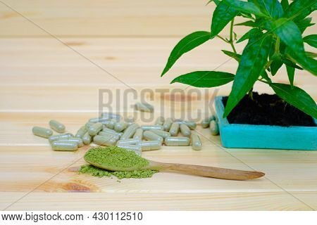 Kariyat Or Andrographis Paniculata Powder In Wooden Spoon With Herbal Capsules And Herb Tree On Wood