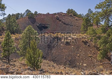 Plant Growth In The Ashes Of A Cinder Cone In El Malpais National Monument In New Mexico