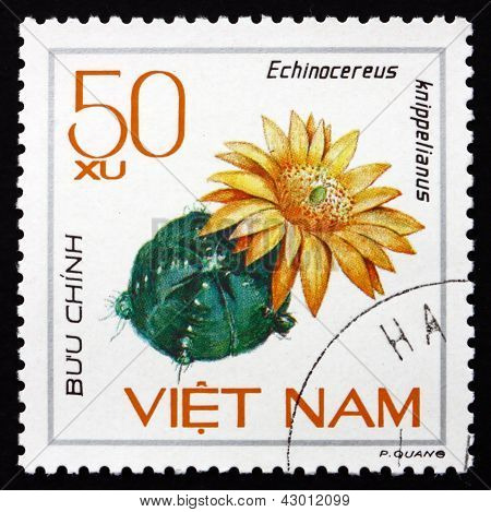 Postage Stamp Vietnam 1985 Echinocereus Knippelianus, Cactus