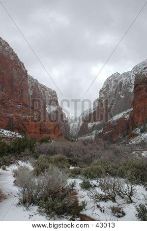 Wilderness Canyon