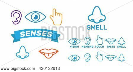Five Senses Icon. Sets Of Icons Representing The Five Senses