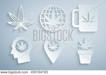 Set Location And Marijuana, Cup Tea With, Head In Profile, Marijuana Plant Pot, Legalize And Or Cann