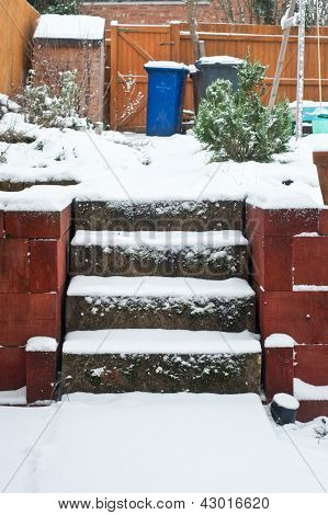 Snowy Garden