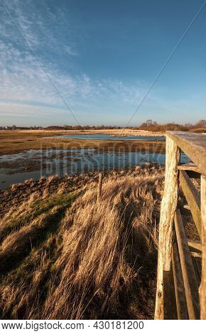 Natural Park Area Of Ishoj Denmark On A Sunney Day