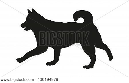 Black Dog Silhouette. Running Siberian Husky. Pet Animals. Isolated On A White Background. Vector Il