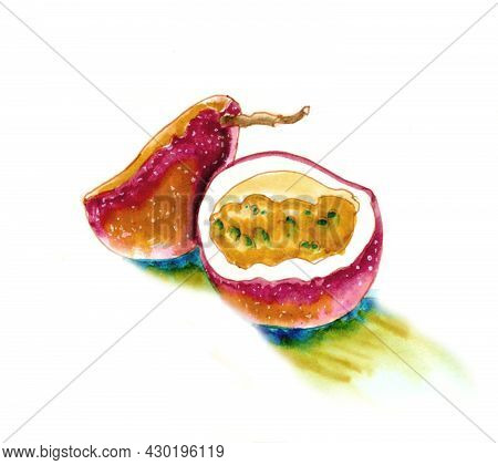 Passion Fruit Watercolour Illustration In Sketch Stile For Your Design