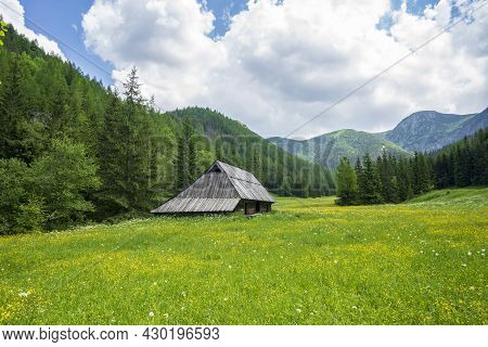 Beautiful Summer View Of Jaworzynka Valley. Tatra Mountains.