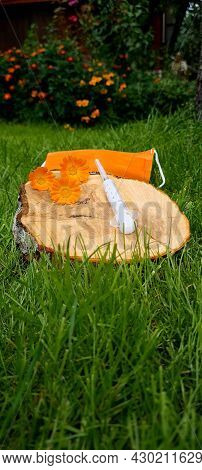 The Concept Of Death From Infectious Diseases. Mask, Dried Flowers And Syringe