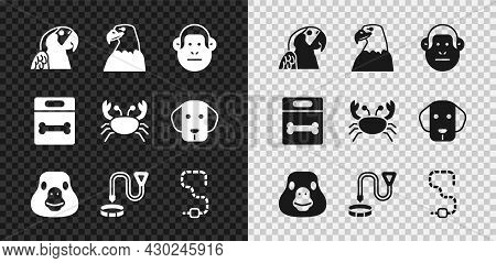 Set Macaw Parrot, Eagle Head, Monkey, Goose Bird, Collar With Name Tag, Worm, Dog Bone And Crab Icon